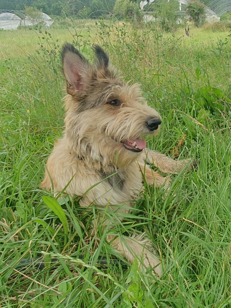 Mon amour de "Taïko" !